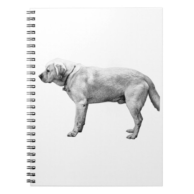 Harvest Reflections Notebook (Front)