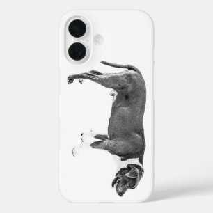 Harvest Season Protector iPhone 16 Case