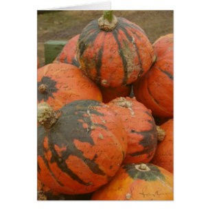 Harvest Time