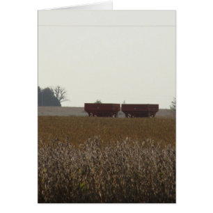 Harvest Time