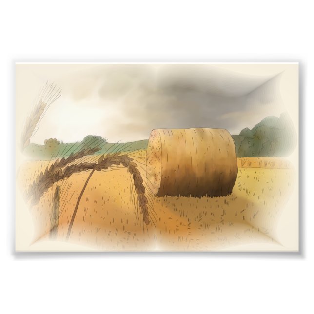 harvest time photo print (Front)