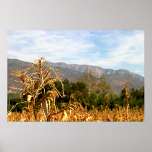 Harvest Time Poster