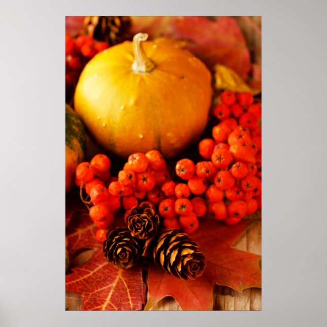 Harvested pumpkins with fall leaves 2 poster (Front)