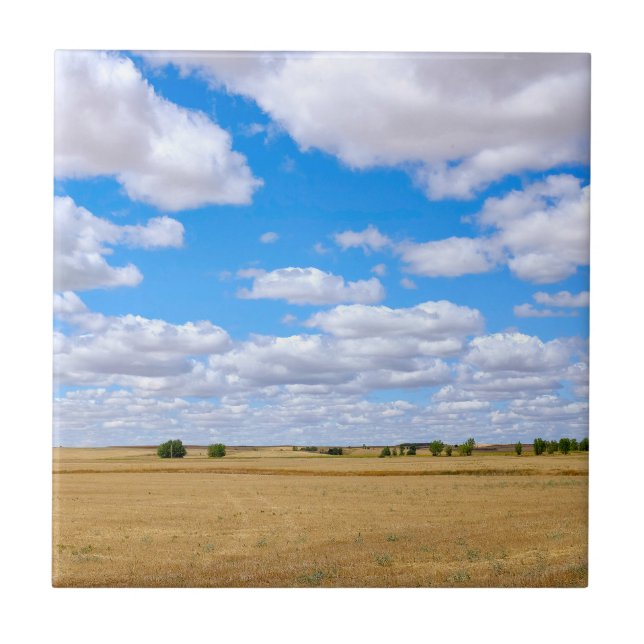 Harvested wheat fields  ceramic tile (Front)