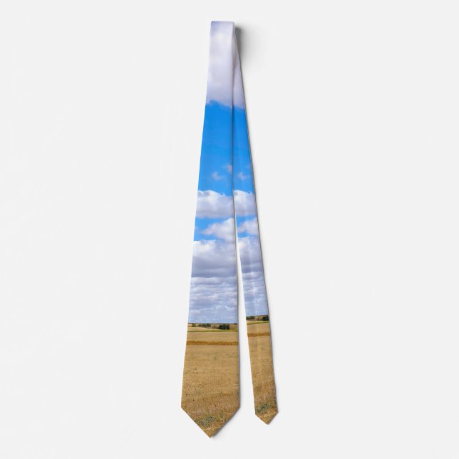 Harvested wheat fields  tie (Front)