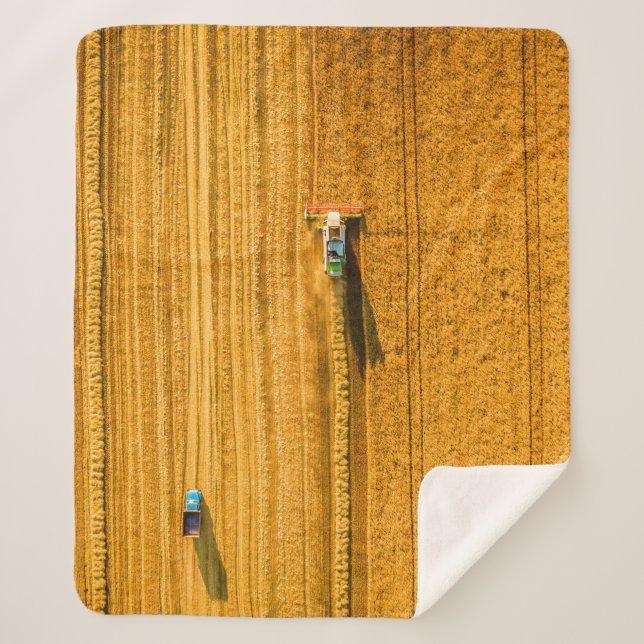 Harvester machine working in field. Combine harves Sherpa Blanket (Front)