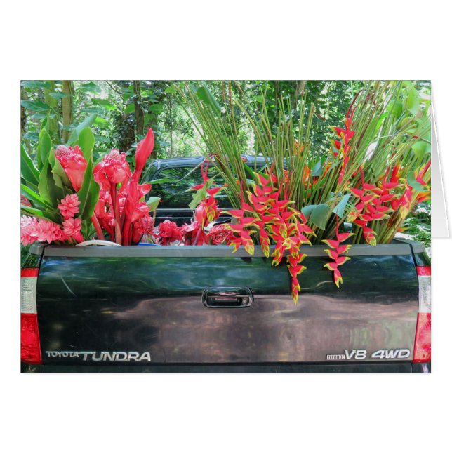 Harvesting Hawaiian Tropicals (Front Horizontal)