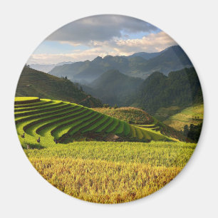 harvesting plants on mountains with cloudy sky magnet