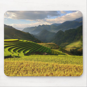 harvesting plants on mountains with cloudy sky mouse pad