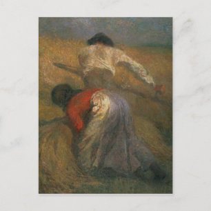 Harvesting Postcard