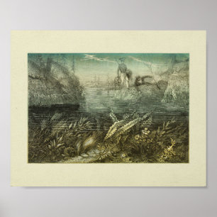 Harvesting Seaweed Explorers Colour Art Print