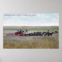 Harvesting Wheat Scene