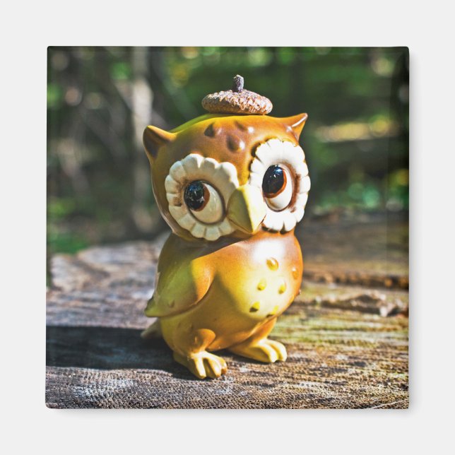 Harvey the Owl III Magnet (Front)