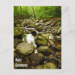Harz Germany Postcard