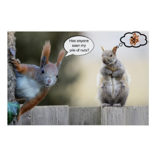 Has anyone seen my nuts? poster