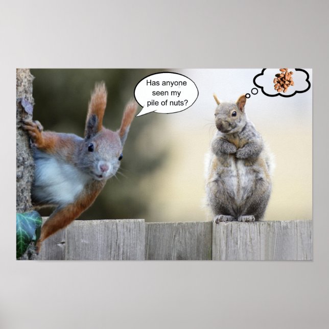 Has anyone seen my nuts? poster (Front)