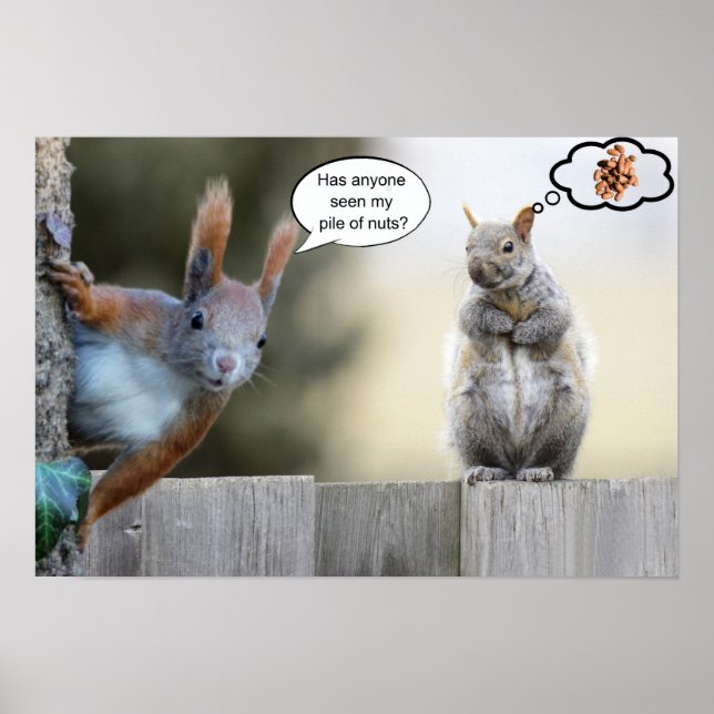 Has anyone seen my nuts? poster (Front)