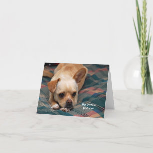 Has Anyone Told You? Card