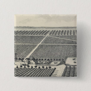 Hastie Vineyard, California 15 Cm Square Badge
