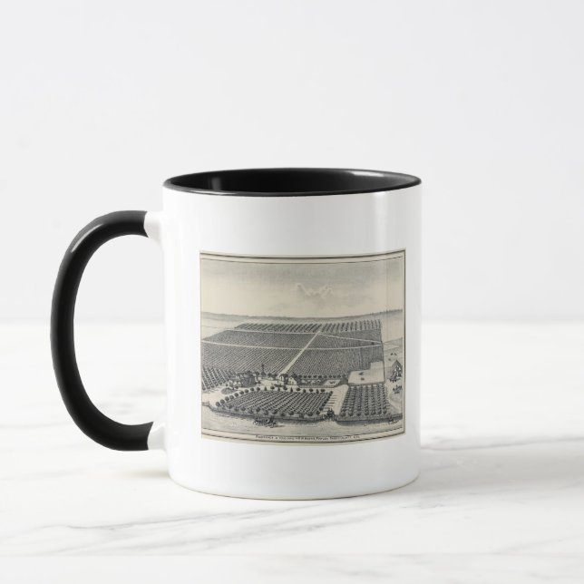 Hastie Vineyard, California Mug (Left)