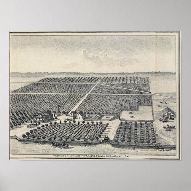 Hastie Vineyard, California Poster (Front)