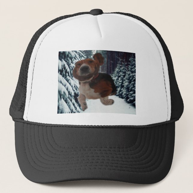 Hat Basset Hound Ear Scarf (Front)
