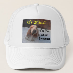 Hat Basset Hound Snow Sweeper