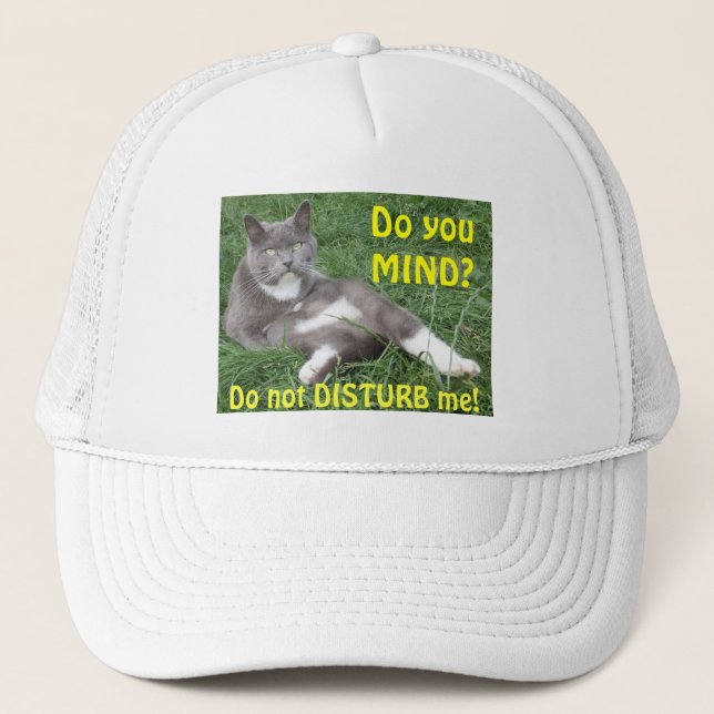Hat Cat Do You Mind (Front)