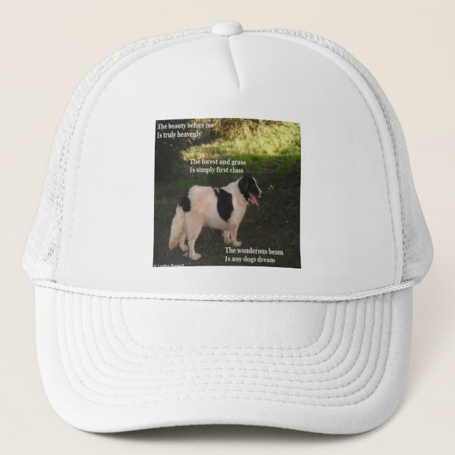 Hat Poem Poem Any Dogs Dream By Ladee Basset (Front)