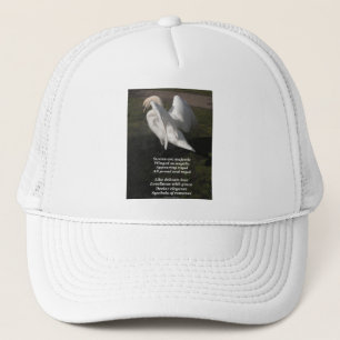 Hat Poem Poem Swans Are Majestic By Ladee Basset