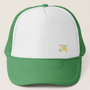 Hat trucker cap