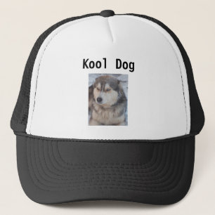 Hat With Husky