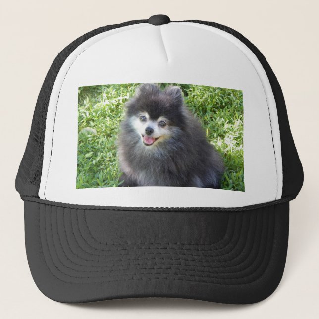 hat with original Pomeranian photo (Front)