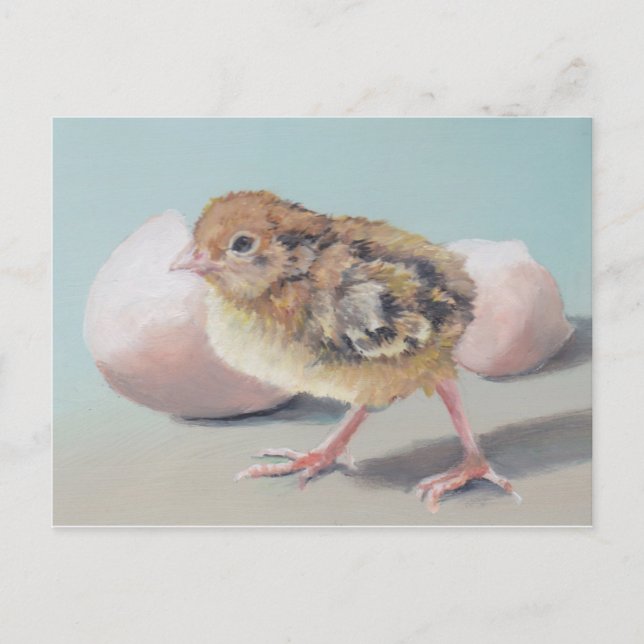 Hatched Chick Bird Art Postcard (Front)