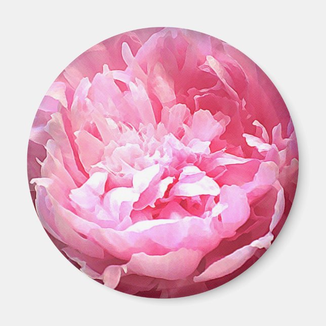 Hatched Pink Peony Magnet (Front)