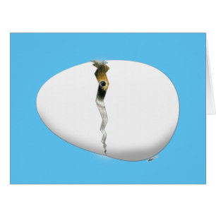 Hatching Egg