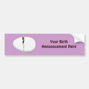 Hatching Egg Bumper Sticker