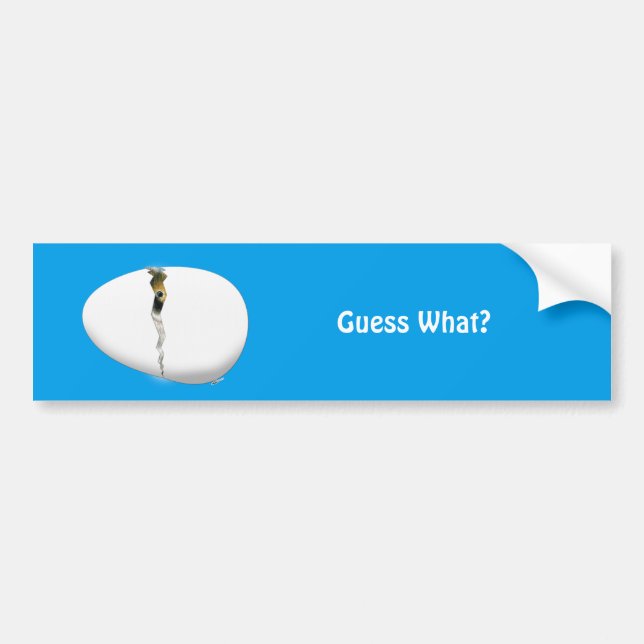 Hatching Egg Bumper Sticker (Front)