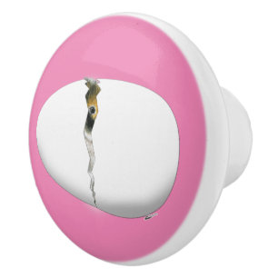 Hatching Egg Ceramic Knob