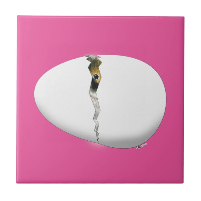 Hatching Egg Ceramic Tile (Front)