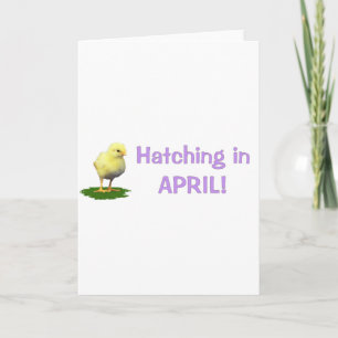 Hatching in April! Maternity/Pregnant Due In April Announcement