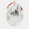 Hatchling E9 Christmas Ornament