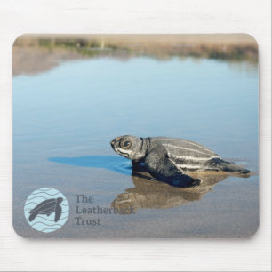 Hatchling Mousepad