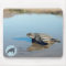 Hatchling Mousepad