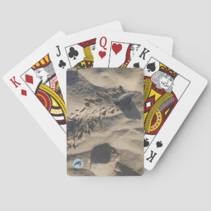 Hatchling Playing Cards