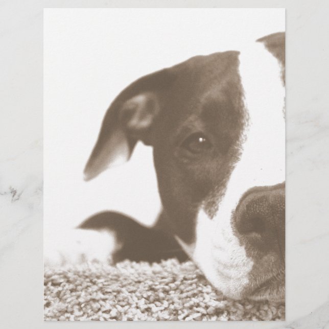 hate the deed not the breed friendly pitbull sepia (Front)