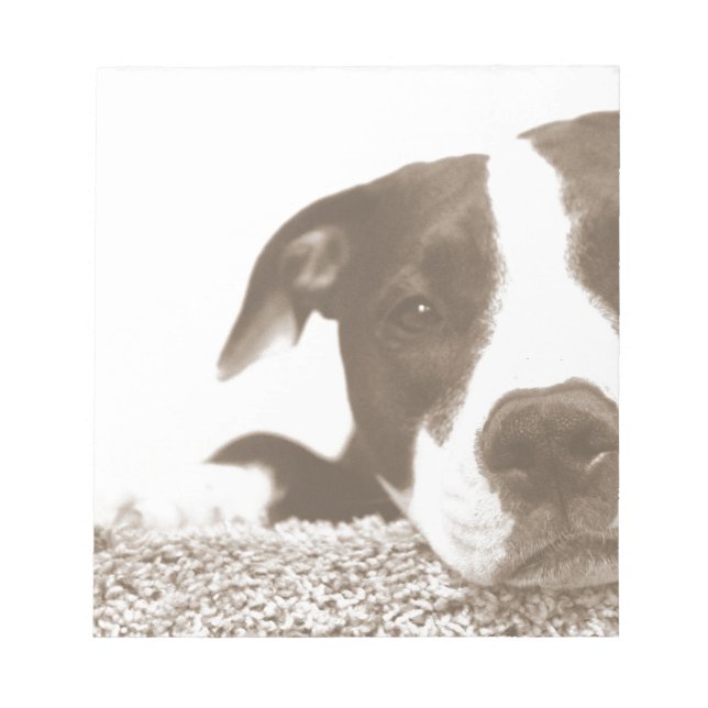 hate the deed not the breed friendly pitbull sepia notepad (Front)