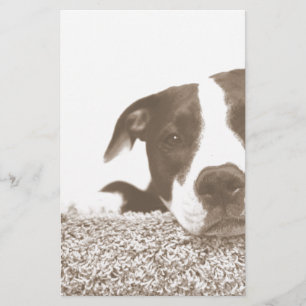 hate the deed not the breed friendly pitbull sepia stationery