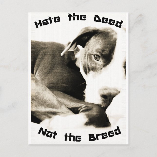 hate the deed not the breed pitbull postcard (Front)