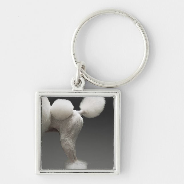 Haunches of Poodle, on grey background Key Ring (Front)